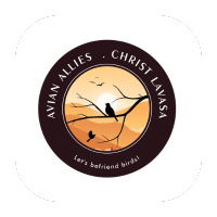 Avian Allies Logo