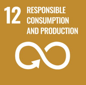 Goal 12: Responsible Consumption and Production
